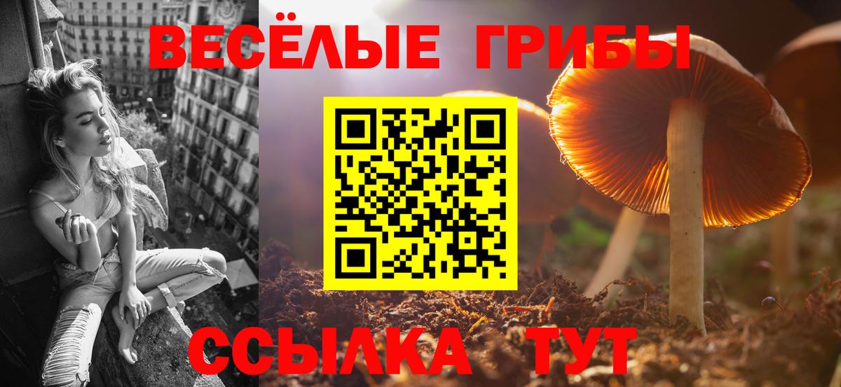 Галлюциногенные грибы прущие грибы Вичуга