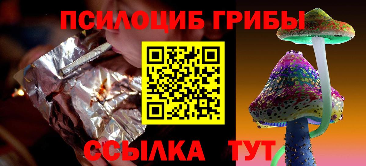 Псилоцибиновые грибы прущие грибы  Вход с VPN  Вичуга 